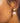 Lux Earrings